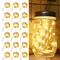 20 LED Warm White Mini String Lights For Mason Jars DIY Crafts Decorations