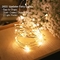 Warm White Battery Operated Christmas Silver Coated Copper Wire Lights Firefly Twinkle Lights for Party Christmas Decor