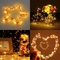 Warm White 50 LED String Lights Firefly USB Plug In Decorative Starry Lights For Valentine'S Day