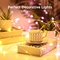 Waterproof Warm White Firefly Lights For Indoor Decoration Dimmable Remote Control