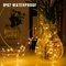 Battery Operated Mini String Pixie Christmas Lights Warm White IP67 For DIY Vases Wedding