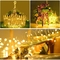 Starry Firefly Warm White Battery Copper Wire Lights For Parties Indoor Decor