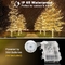 Warm White Battery Operated with Remote Timer Waterproof 8 Modes String Lights for Indoor and Outdoor Decor