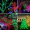 Green Christmas Solar String Outdoor Lights 200 LED with 8 Modes Waterproof Fairy Lights for Patio Garden
