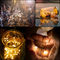 240V Copper Wire Lights 400 Dimmable LED Fairy Lights With Remote