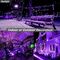 70m Length 100V Purple Christmas Lights Outdoor 700 LED Waterproof