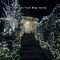 110V Cool White LED Outdoor Solar Christmas Tree Lights Green Wire 17ft 300MA