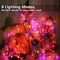 Halloween Battery Operated Christmas Lights 60 Hours 6V With 1.5M Cable